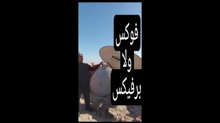 فوكس ولا البرفيكس ايهما افضل شوف الجمال كله لاخر الفيديو