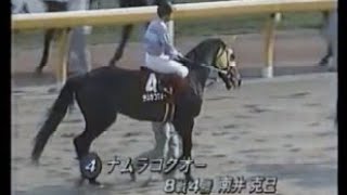 第４２回　ＮＨＫ杯 （ＧⅡ）　本馬場入場　1994.5.6　　出走馬：ナムラコクオー、ヤシマソブリン、セントギャロップ、イブキダイハーン、エクセレンスロビン、フジノマッケンオー、トラストカンカン他