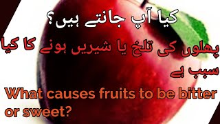 Phalon main Karwa ya Metha honay ka kia Sabab hai | What causes Fruits to be bitter or sweet | Fruit