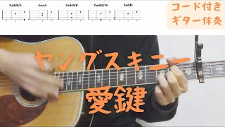 【ギターコード付き】ヤングスキニー/愛鍵【アコギ弾いてみた】