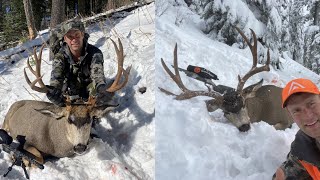 SOLO HUNTER DOUBLED on Big Bucks!!! Mule Deer Hunting - Stuck N The Rut 178