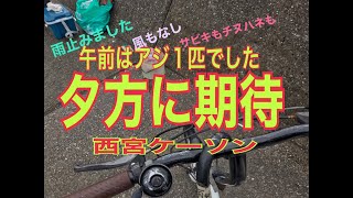 西宮ケーソンの状況fishingmax 武庫川