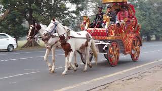 ঘোড়া গাড়ি or Chariot riding at Maidan near Victoria Memorial/ City of Joy Kolkata #chariot