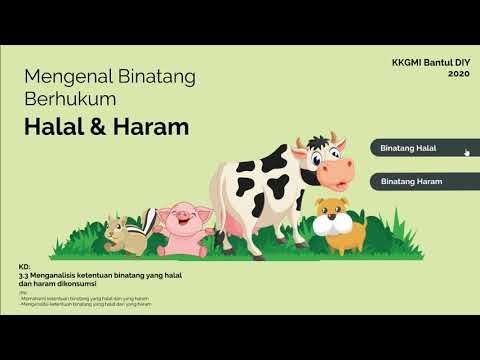 FIKIH KELAS 6 BINATANG HALAL DAN HARAM - YouTube