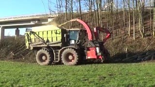 Lohnunternehmen Mikus - Claas XERION Bunkerhacker in Warburg Scherfede