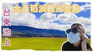 一個人環島旅行｜環島第二十一天｜台東池上必去觀光景點｜國家級山水秘境｜夢幻遼闊稻海｜玉里無印風格旅宿-山鄰山林青年文旅 ｜花蓮必吃美食-玉里麵