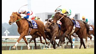 ◆第４３回有馬記念（１９９８年１２月２７日、中山競馬場・芝２５００メートル、良馬場）