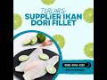 TERLARIS, WA 0882-9553-2322, Jual Ikan Dori Fillet Segar Jabodetabek