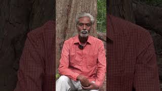 Ramanisharma on Hindhuism இரமணிஷர்மா பார்வையில் இந்துத்துவம் https://youtu.be/kdkDX73h32U #shorts