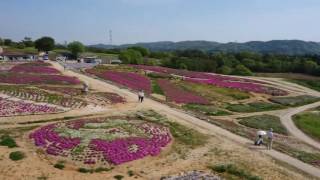 花夢の里空撮映像