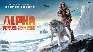 #阿尔法：狼伴归途 Alpha (2018)  男孩偶然救下一只野狼，狼为报救命之恩，不惜丢掉性命去保护男孩 #电影解说  #电影推荐 #狼伴归途 #Alpha