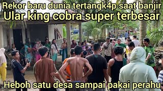 PECAH REKOR DUNIA PENANGKAP4N ULAR KING COBRA RAKSASA DI DESA BULUH CINA