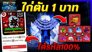 Blox Fruits สอนซื้อไก่ตัน ราคา 1 บาท😱(ได้รหัส100%)✅ถูกที่สุดในไทย✅ จากร้าน RedShop🔴