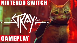 Stray Nintendo Switch Gameplay