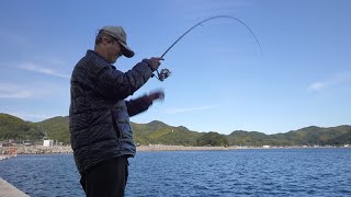 「あの歌が魚を妨げとるな～ 🤭」 11月9日のカワハギ釣りとマイクの設定をミスったキャンプで宴の部🏕️