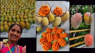 आमरस वर्षभर साठवण्याचा सोप्या पद्धती🥭| How to preserve mangoes for a long lasting | gharcha swad