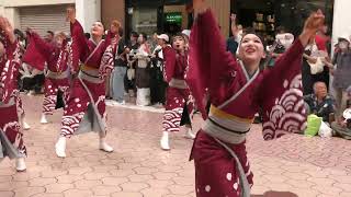 高知全国大会　藍なりの皆さんの素敵な演舞