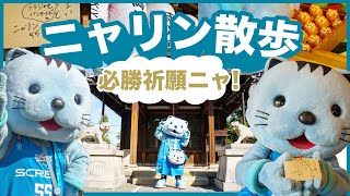 ニャリン散歩🐾 必勝祈願ニャ‼🐾