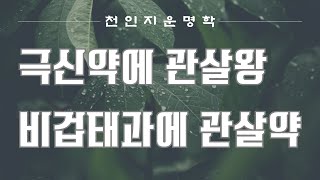 극신약에 관살왕 비겁태과에 관살약