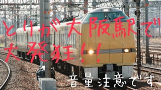 【大阪駅でこうのとりが大発狂❗️❗️】289系FG401編成 汽笛＆ミュージックホーン