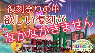 【ポケ森】待ちに待った迎春和風カフェが来るらしいけど…なかなかこない！