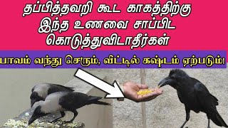 காகத்திற்கு இந்த இரண்டு உணவை மட்டும் சாப்பிட கொடுக்காதீர்கள் மிகப்பெரிய பாவம் வரும்!@JashtamilMedia