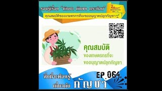 iSiam ep.064 : คุณสมบัติของเกษตรกรที่จะขออนุญาตปลูกกัญชา🌱