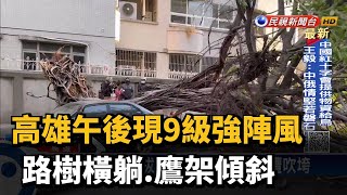 高雄午後現9級強陣風　路樹橫躺.鷹架傾斜－民視新聞