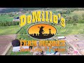 demille s farm market corn maze