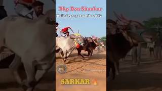 BkpDon Shankar and powerful bull Sarkar showing there power in patnam#bullsrace#hallikarbullrunning