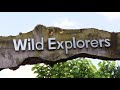 tor u0026co marwell zoo wild explorers