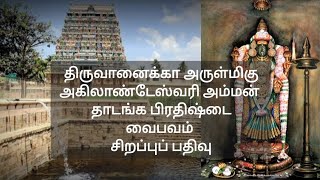 அகிலாண்டேஸ்வரி அம்மன் தாடங்க பிரதிஷ்டை வைபவம் 2025 - திருவானைக்கா - சிறப்புப் பதிவு