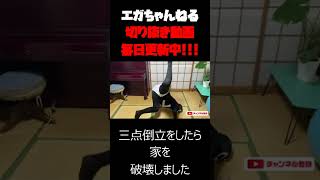 江頭2時50分のまねをして三点倒立をしたら家を破壊しました【エガちゃんねる】EGA-CHANNEL#shorts