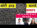 छोटी हरड़ खाने के फायदे और नुकसान । chhotiharad ke fayde uttamupcharvlogs healthy