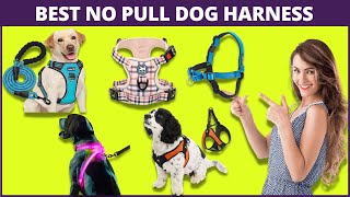 Best No-Pull Dog Harness - Find the Best Harness for Your Dog
