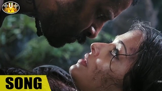 Kaanala Chilaka Video Song || Villain Movie || Vikram, Aishwarya Rai, Priyamani || SVV