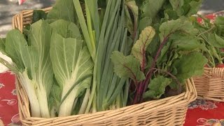 Mobile farmer's market brings fresh produce to Albuquerque residents