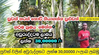 පුවක් වලින් අවුරුද්දකට ලක්ෂ 30,00000/= ලාබය ගන්නත් පුළුවන් . පුවක් නරක් නොව් තියාගන්න රහස මෙන්න .