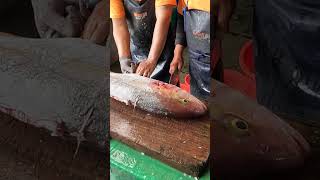 How the Big Amberjack, cutting for selling, 明發定置漁場, #freshseafood #netting #fishing 2 MP4 3 02 06 20