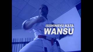 #MRkarate ™ Mike Reeves Isshinryu Kata #4 WANSU #isshinryukata #karate #martialarts #shorts