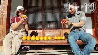 한국기행 - Korea travel_우리 이렇게 살아요 1부- 그대와 함께 둘이서_#001