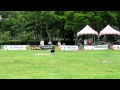 2012夏季飛盤狗花式 賴打