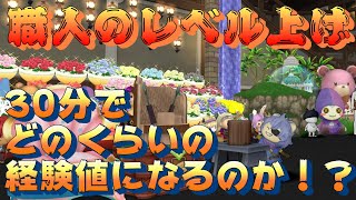 【ドラクエ10】職人のレベル上げ紹介！30分でどのくらいの経験値になるのか検証！！