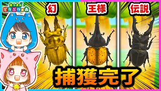 ついにコンプリートの時が！？！『ヘラクレスオオ！オウゴンオニ！ギラファノコギリ！』【カブトムシ/クワガタ】【あつまれどうぶつの森/AnimalCrossing】