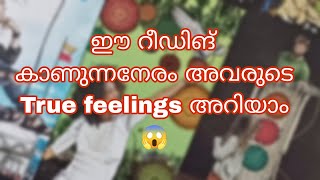 ✨അവരുടെ true feelings for you💯❤️ #miracle \