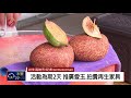 山籟愛玉慶豐收 連2天高捷中央公園站舉行 2018 08 18 ipcf titv 原文會 原視新聞