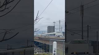 北鯖江駅を高速通過する特急サンダーバード683系 #通過シーン #train #特急 #shorts