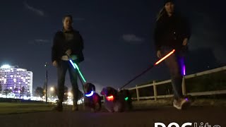DOGlite LED DOG ACCESSORIES - 2016 VIDEO