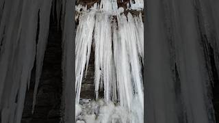 Amazing 😍icicles in the #Kentucky #mountain. #ice #Snow #blacksheepfarm #beautiful #cool #dangerous