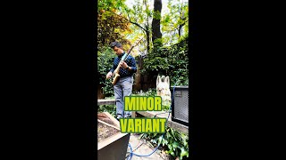 “Minor Variant” by Hari Nandu/BassBowWow, LIVE at a Garden Party, LES NYC, Fodera Monarch 5